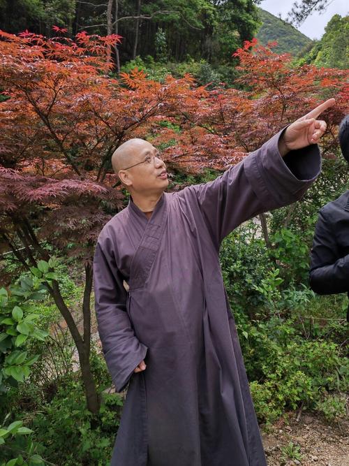 佑岩禅寺的美好未来,度化众生的是生活本身