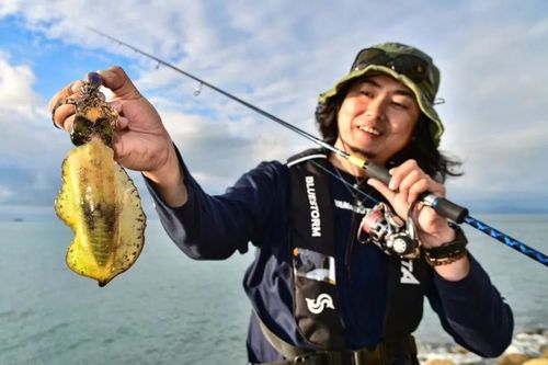 yamashita深圳饵木讲座